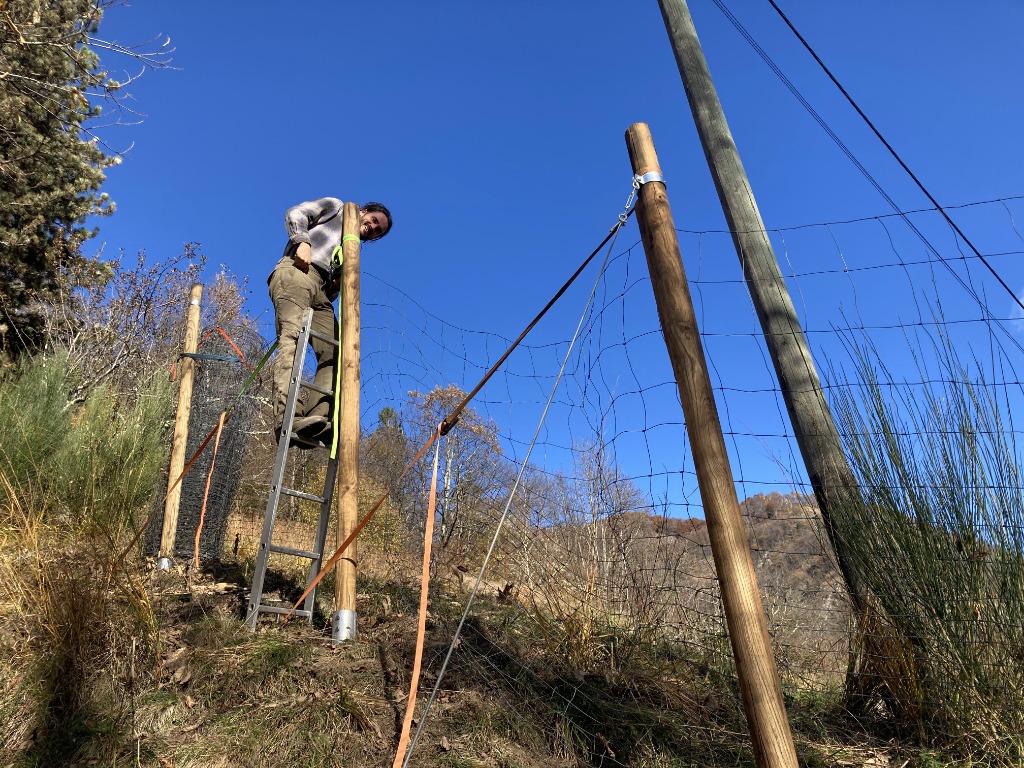 Maschendrahtzaun Vignascia