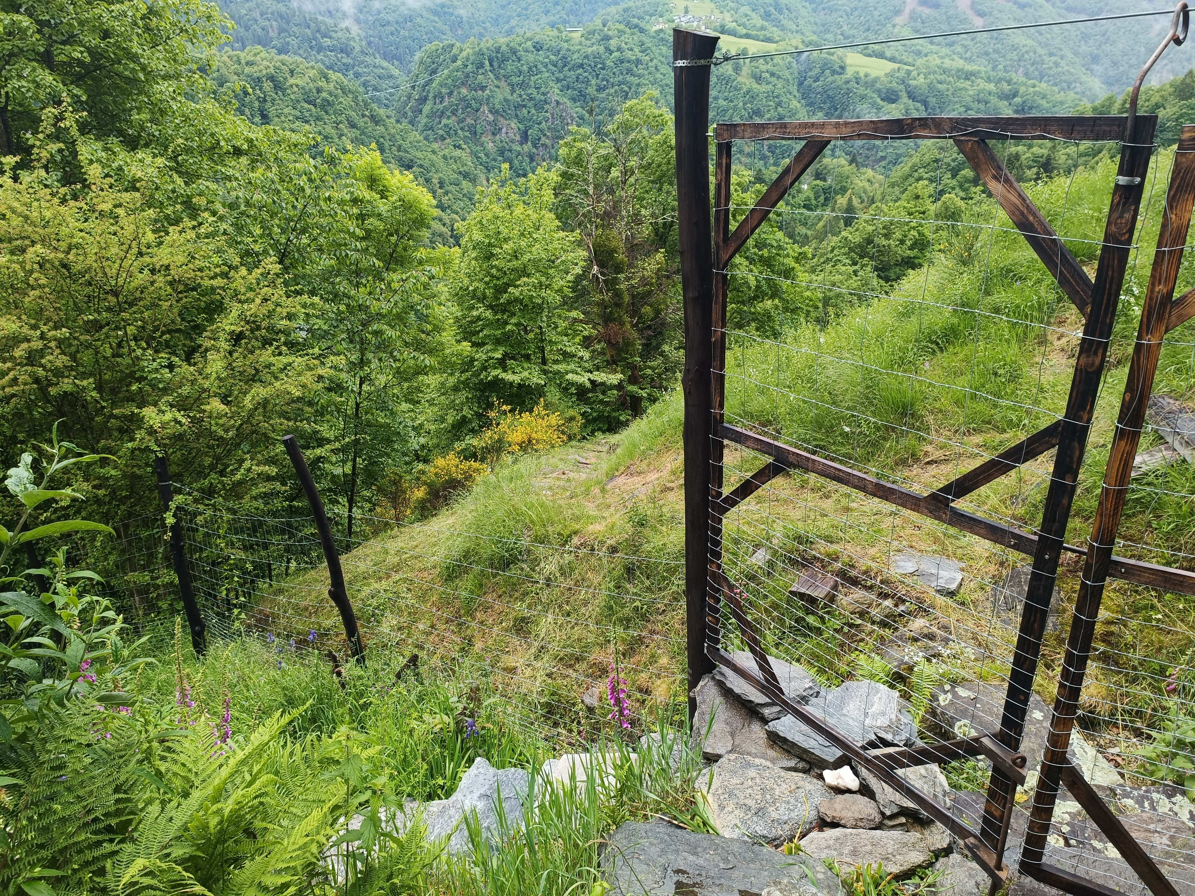 Zäune zum Wildtierschutz